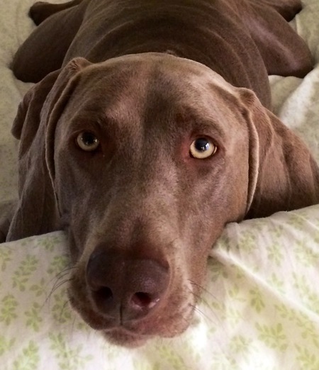 Entry image for Tuesday . Clicking this image will show a larger photo