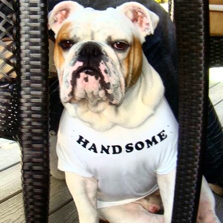 Entry image for Titan aka "Fat Boy". Clicking this image will show a larger photo