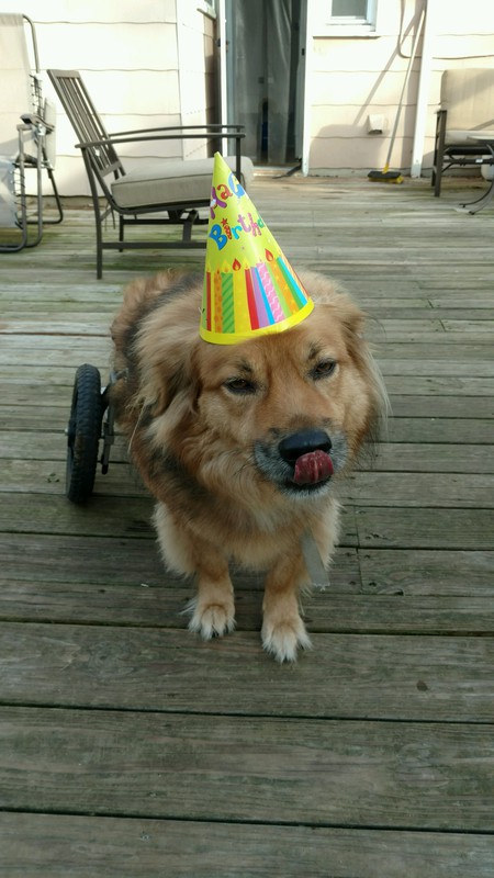 Entry image for Doug. Clicking this image will show a larger photo