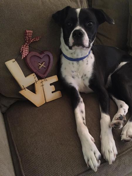 Entry image for Teagan Shelby . Clicking this image will show a larger photo