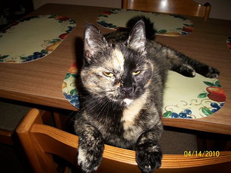 Entry image for Ciara. Clicking this image will show a larger photo