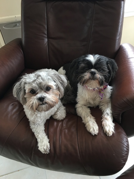 Entry image for Evie & Isabelle. Clicking this image will show a larger photo