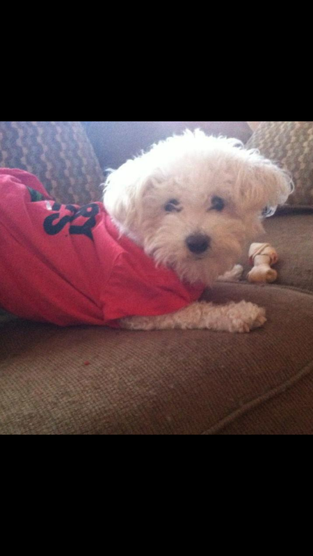 Entry image for Brandi. Clicking this image will show a larger photo