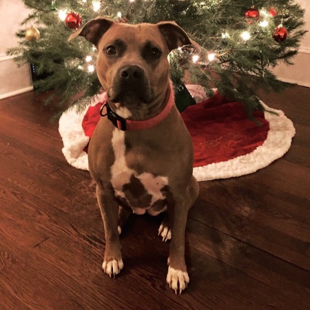 Entry image for Hope. Clicking this image will show a larger photo