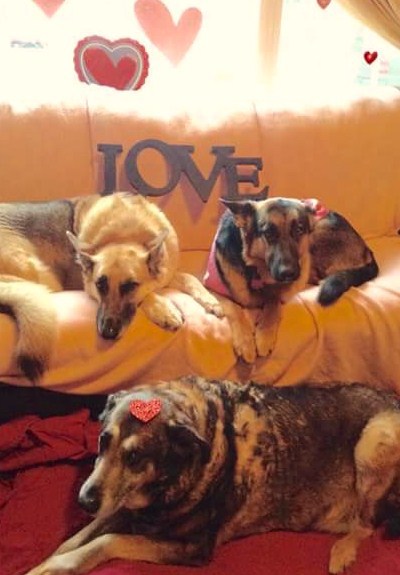 Entry image for BUDDY ,REGEAN ,GIA. Clicking this image will show a larger photo