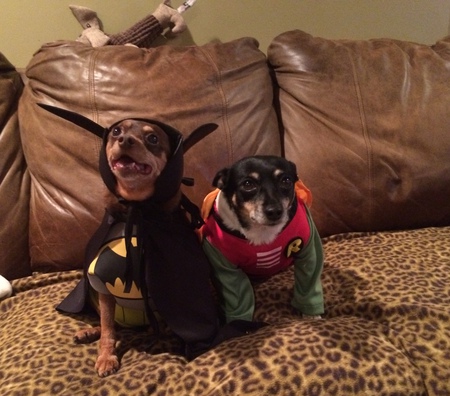 Entry image for Angel and Trixi. Clicking this image will show a larger photo