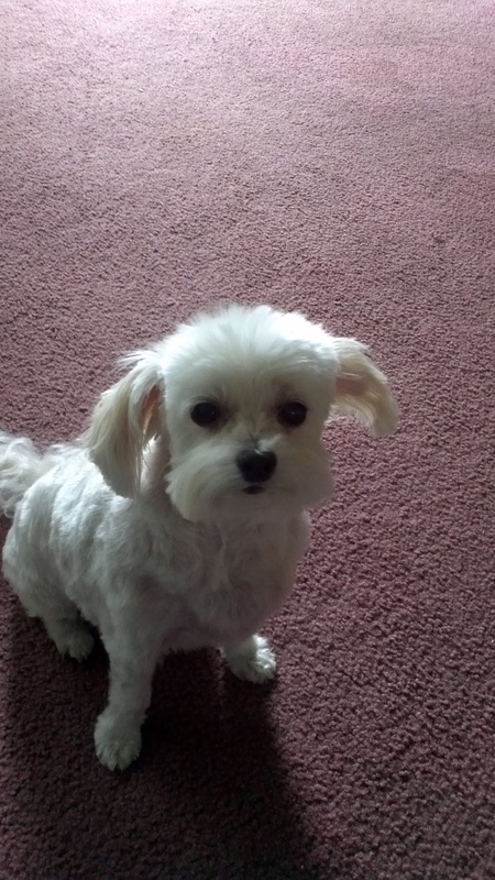 Entry image for Julie. Clicking this image will show a larger photo