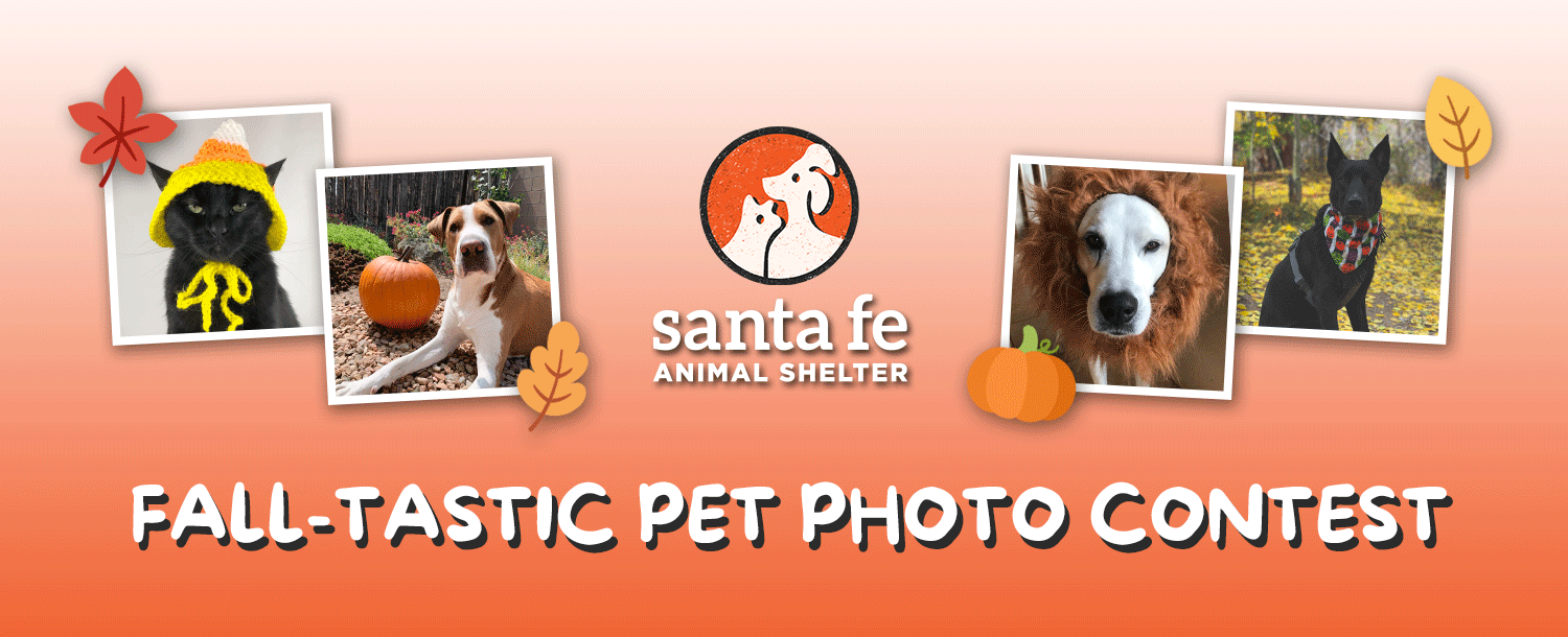 Santa Fe Animal Shelter and Humane Society 2023 SFAS FALLTASTIC Pet