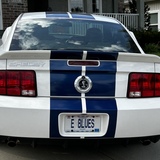 Entry image for Elwood Blues!