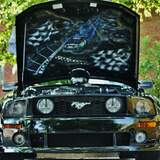 Entry image for Mustang