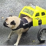 Entry image for Always working!