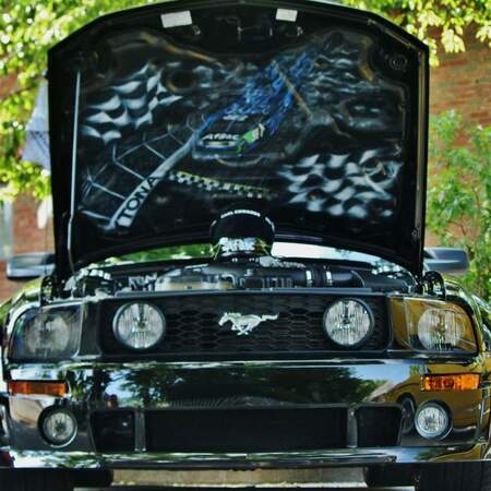 Entry image for Mustang. Clicking this image will show a larger photo