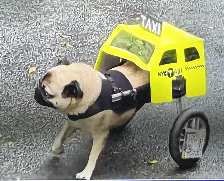 Entry image for Always working!. Clicking this image will show a larger photo