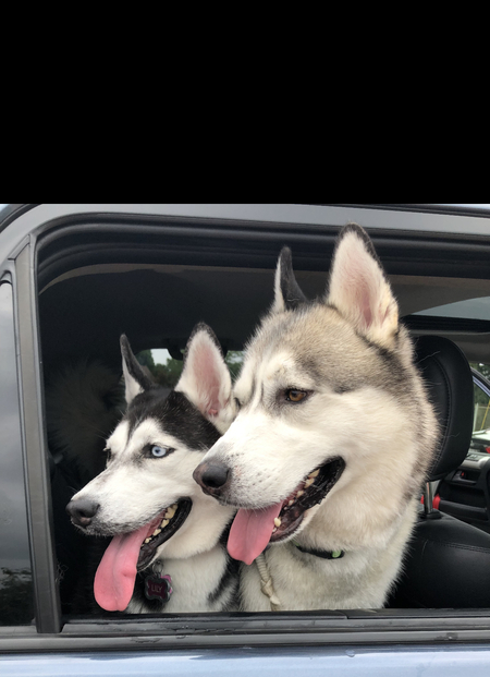 Lily and Storm
