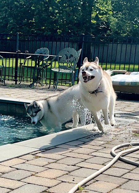 Ovi & Shaxx Makin a Splash