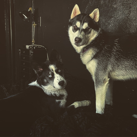 Nikkita and Dimitri
