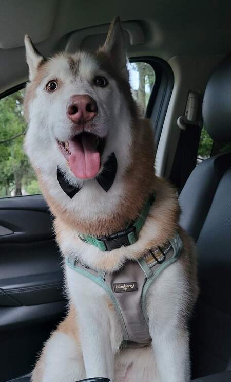 Max