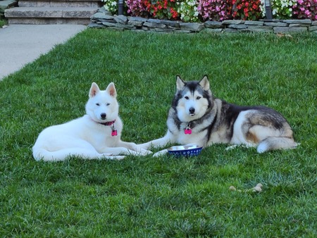 Aurora and Storm