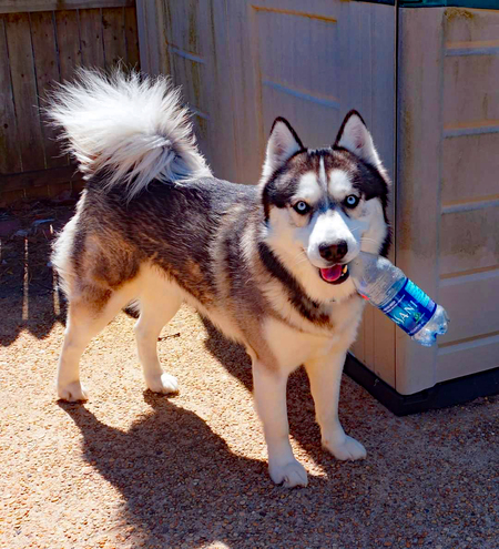 Keiko