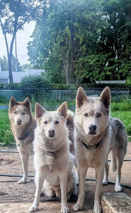 The 3 Amigos