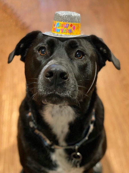 Ernie