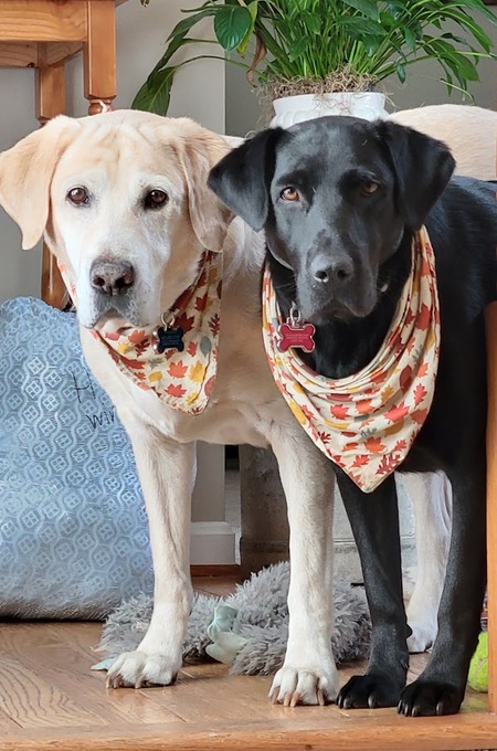 Astro & Trooper