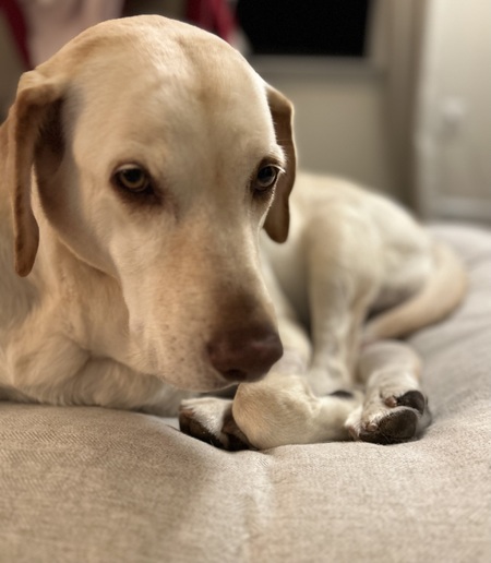 Remi