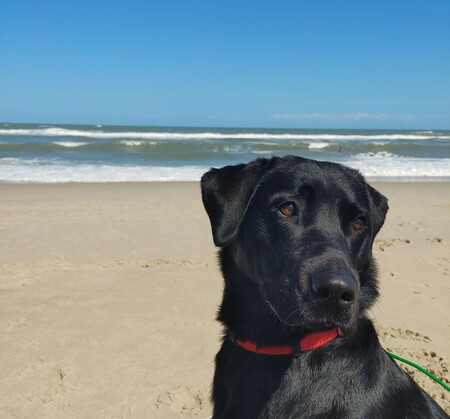 Maggie