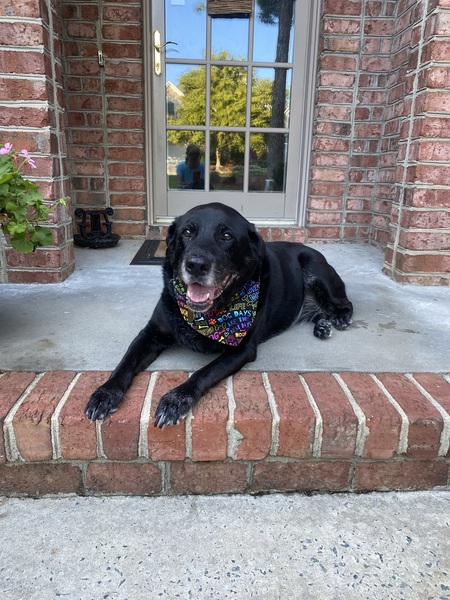 Gracie