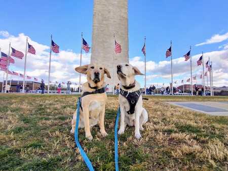 Charlie and Finley