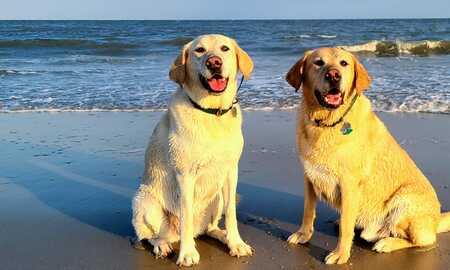 Charlie and Finley
