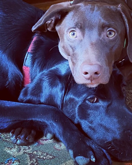 Guster and Murphy