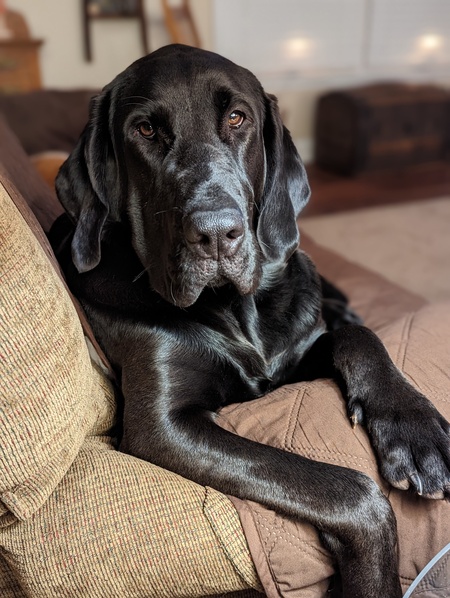 Otis
