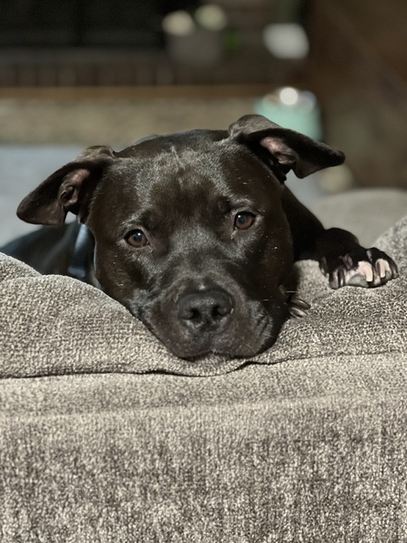 Koba