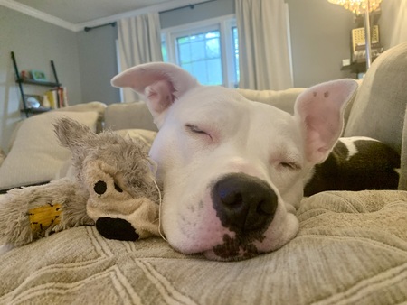 Winnie