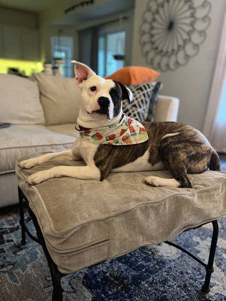 Ruby Roo