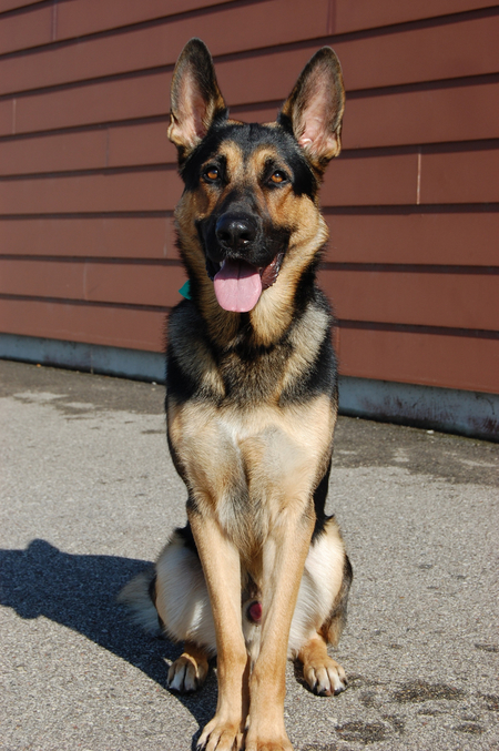 Kaiser