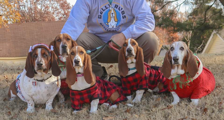 Oliver, Maybell, Harley, Hank, and Reba