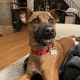 Entry image for Ruby