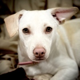 Entry image for Winnie Sue