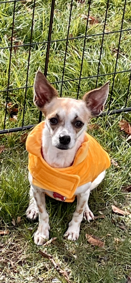 Entry image for Darci. Clicking this image will show a larger photo
