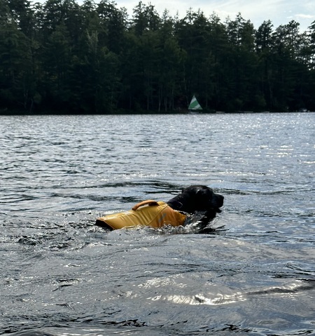 Entry image for Story. Clicking this image will show a larger photo