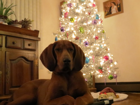 Remington