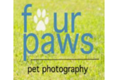 Four Paws Photography