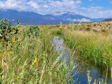 Irrigation Season, Sand Park