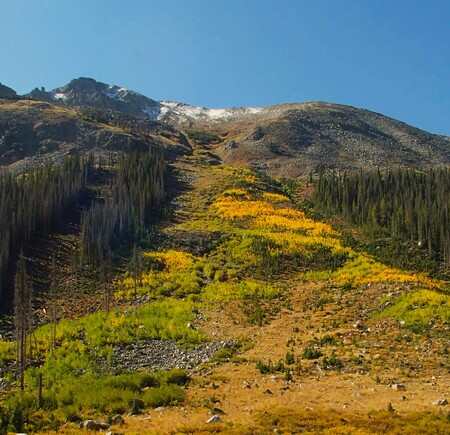 Changing Seasons at the Birthday Slide