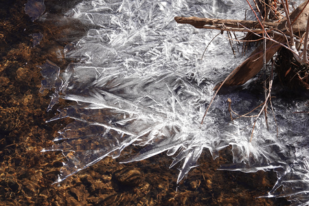 First winter ice on Fourmile Creek