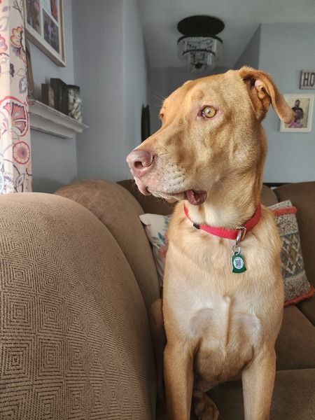 Sam