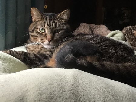 Leo