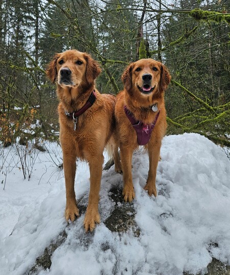 Ruby & Callie